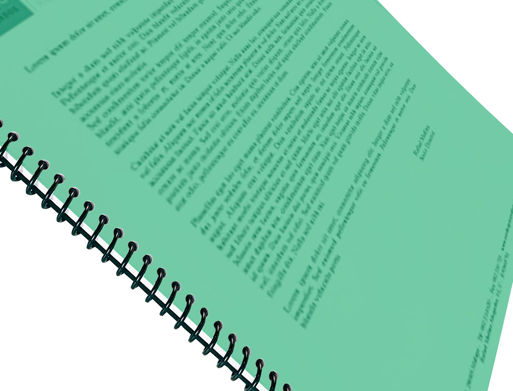 TAPA ENCUADERNACION LIDERPAPEL POLIPROPILENO A4 0.5 MM VERDE TRANSLUCIDO PAQUETE DE 100 UNIDADES