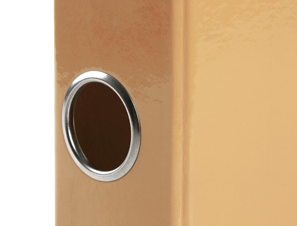 CARPETA DE 2 ANILLAS 25 MM MIXTAS LIDERPAPEL A4 FORRADO COLOR SYSTEM CON OLLAO Y TARJETERO MELOCOTON