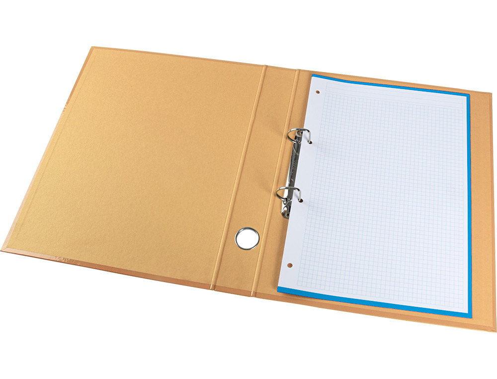 CARPETA DE 2 ANILLAS 25 MM MIXTAS LIDERPAPEL A4 FORRADO COLOR SYSTEM CON OLLAO Y TARJETERO MELOCOTON