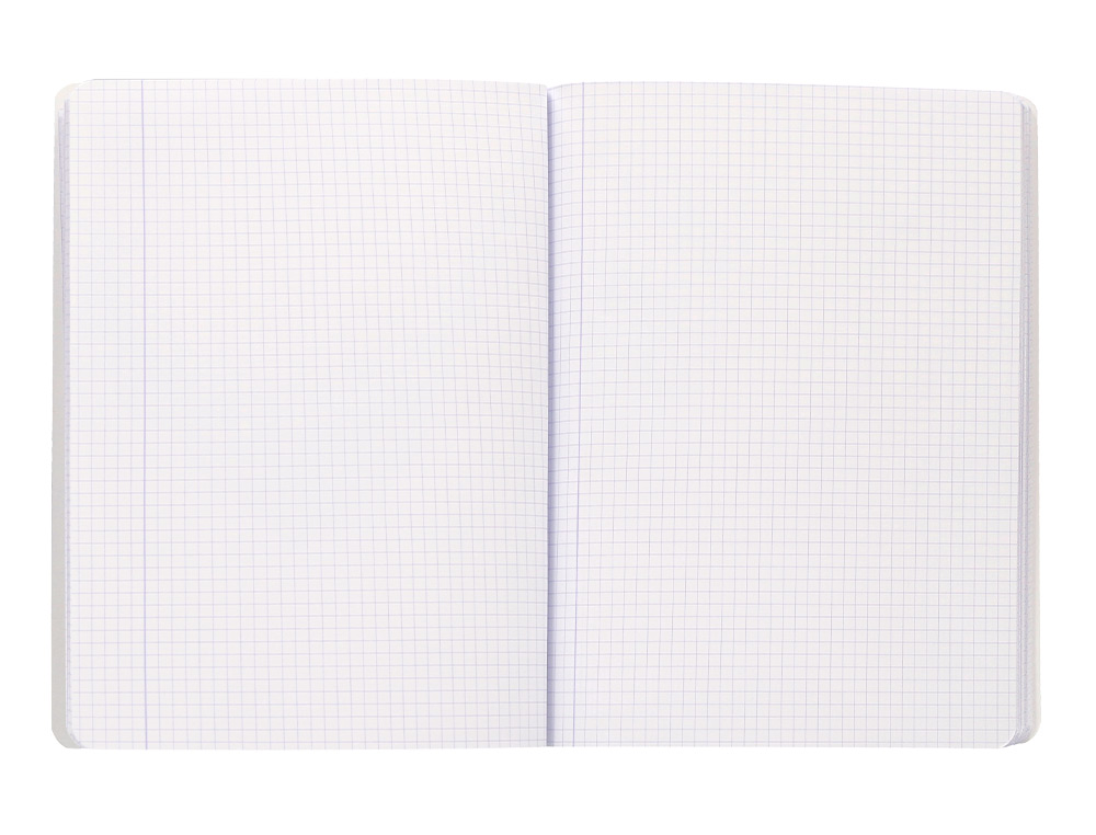 LIBRETA LIDERPAPEL ANTARTIK A5+ PLUS COSIDA 48 HOJAS 90G/M2 CUADRO 5MM CON MARGEN 6 COLORES SURTIDOS