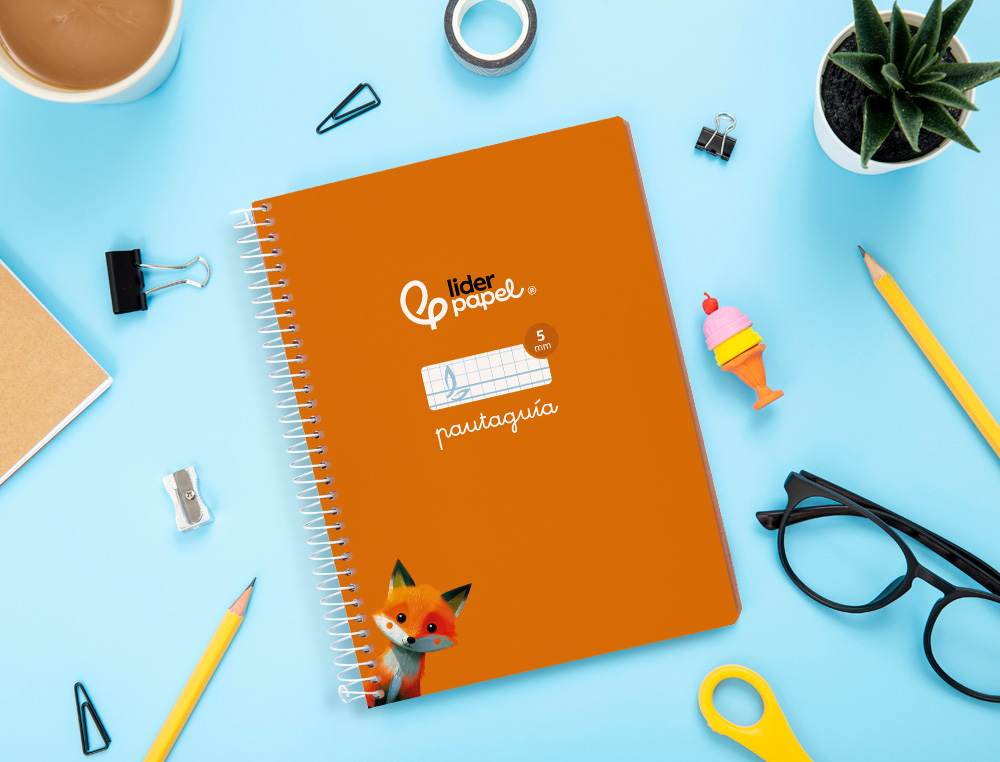 CUADERNO ESPIRAL LIDERPAPEL A5 PAUTAGUIA TAPA BLANDA 40 H 75 GR CUADRO PAUTADO 5MM COLOR NARANJA