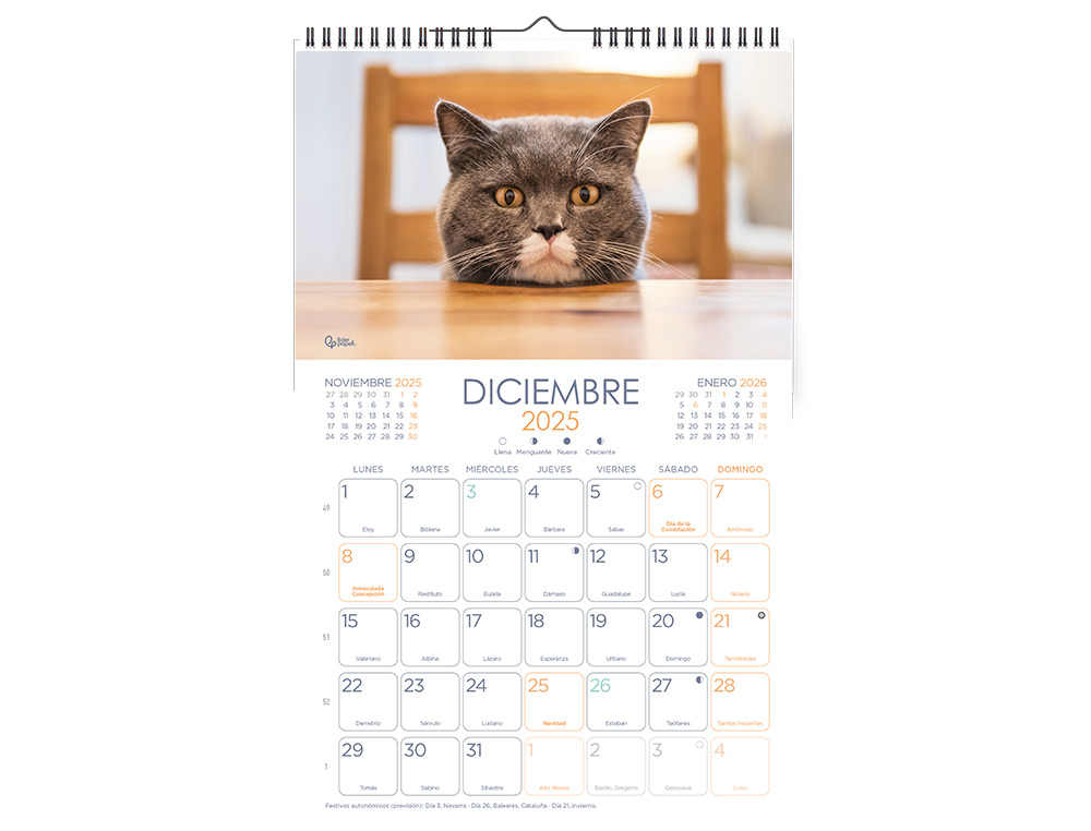 CALENDARIOS LIDERPAPEL 2025 PACK DE 24 UNIDADES DISEOS SURTIDOS LOTE