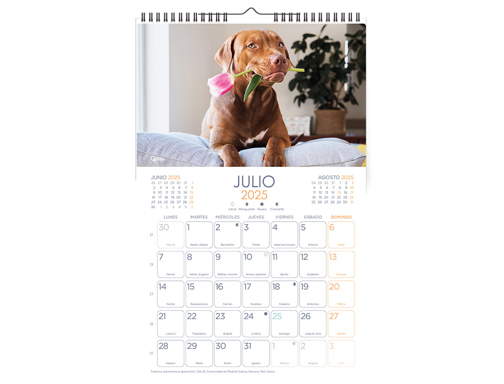 CALENDARIOS LIDERPAPEL 2025 PACK DE 24 UNIDADES DISEOS SURTIDOS LOTE