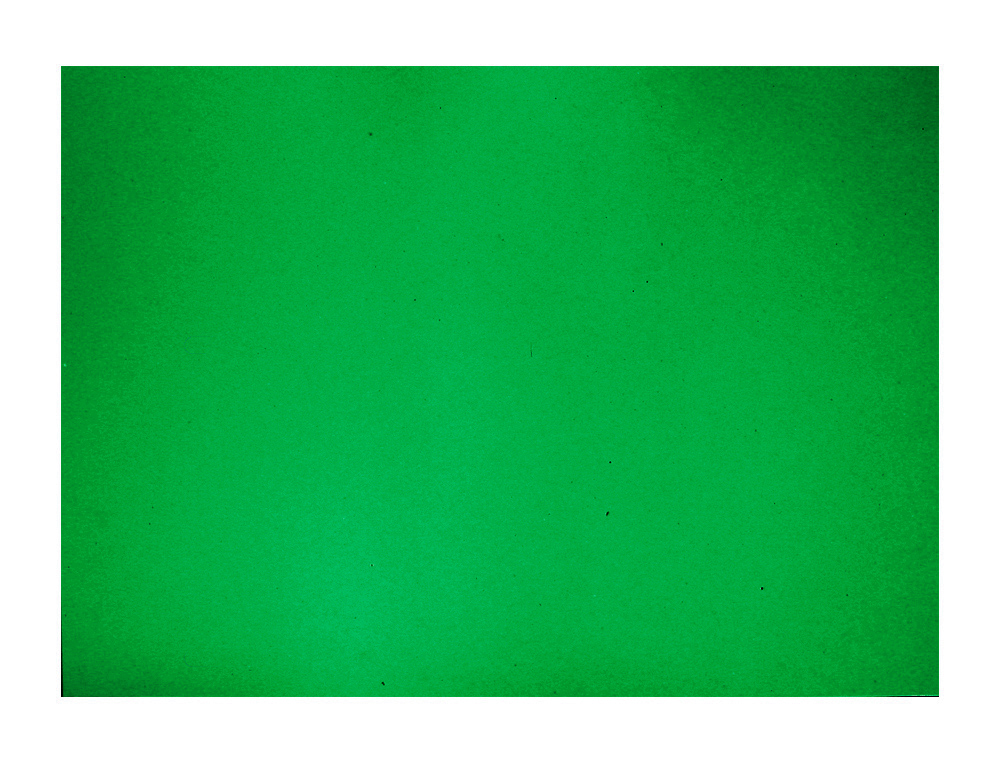 CARTULINA GUARRO VERDE ABETO 50X65 CM 180 GR