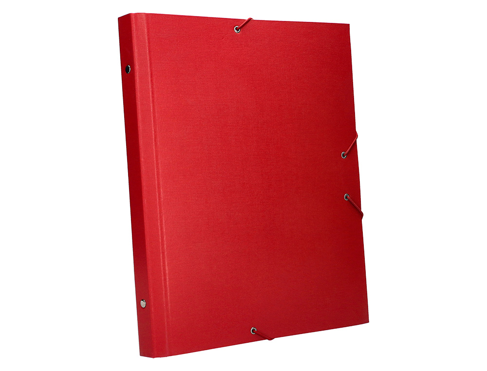 CARPETA CLASIFICADORA LIDERPAPEL 12 DEPARTAMENTOS FOLIO PROLONGADO CARTON FORRADO COLOR ROJO