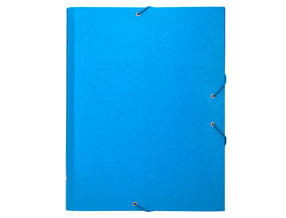 CARPETA CLASIFICADORA LIDERPAPEL 12 DEPARTAMENTOS FOLIO PROLONGADO CARTON FORRADO CELESTE