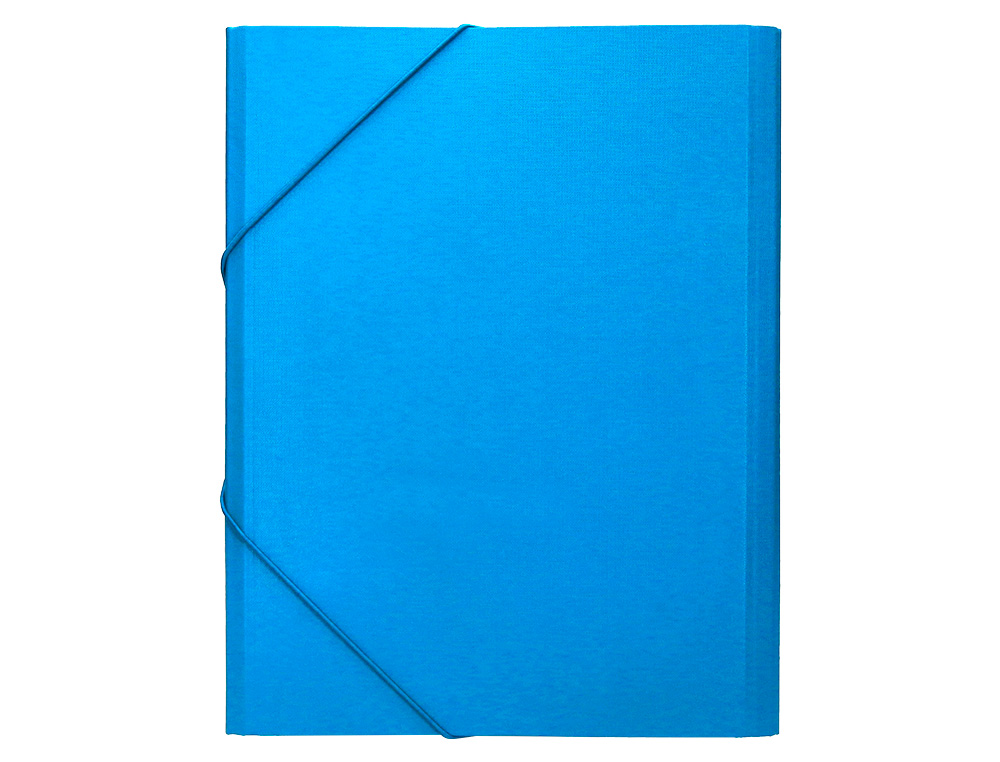 CARPETA CLASIFICADORA LIDERPAPEL 12 DEPARTAMENTOS FOLIO PROLONGADO CARTON FORRADO CELESTE