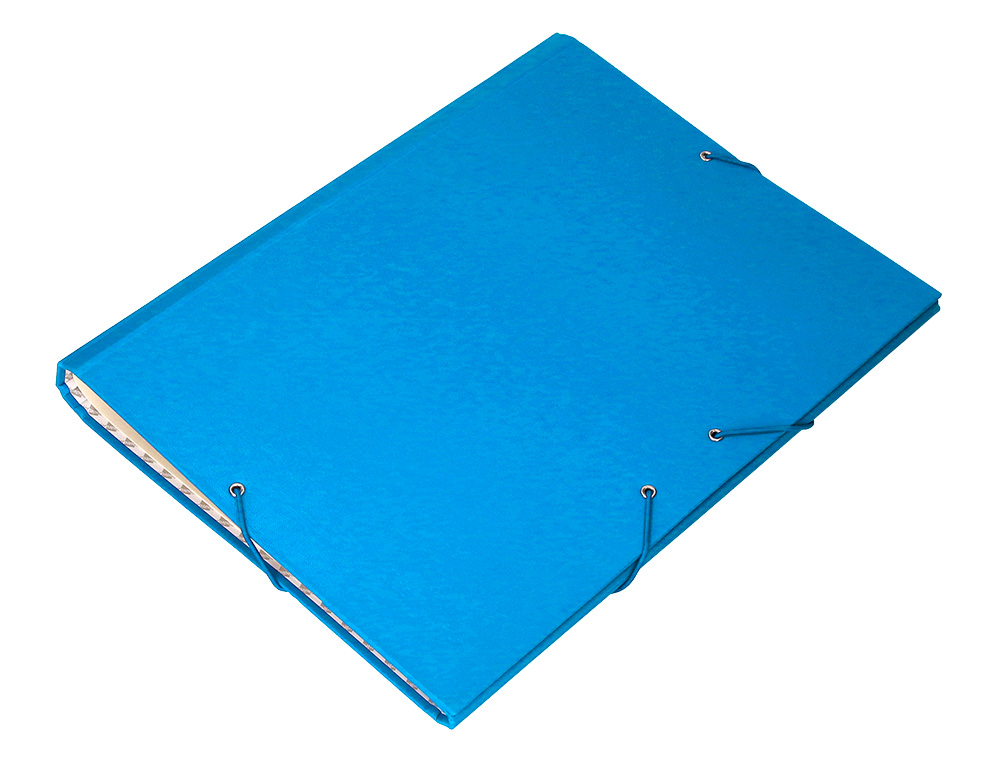 CARPETA CLASIFICADORA LIDERPAPEL 12 DEPARTAMENTOS FOLIO PROLONGADO CARTON FORRADO CELESTE