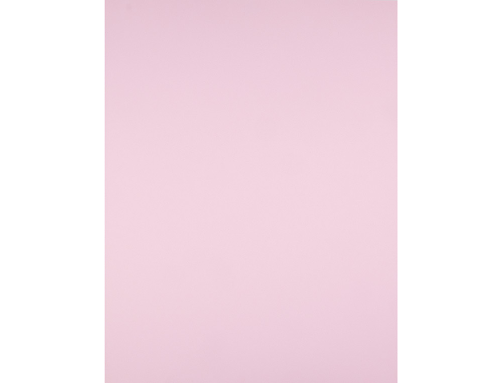CARTULINA LIDERPAPEL 50X65 CM 180G/M2 ROSA