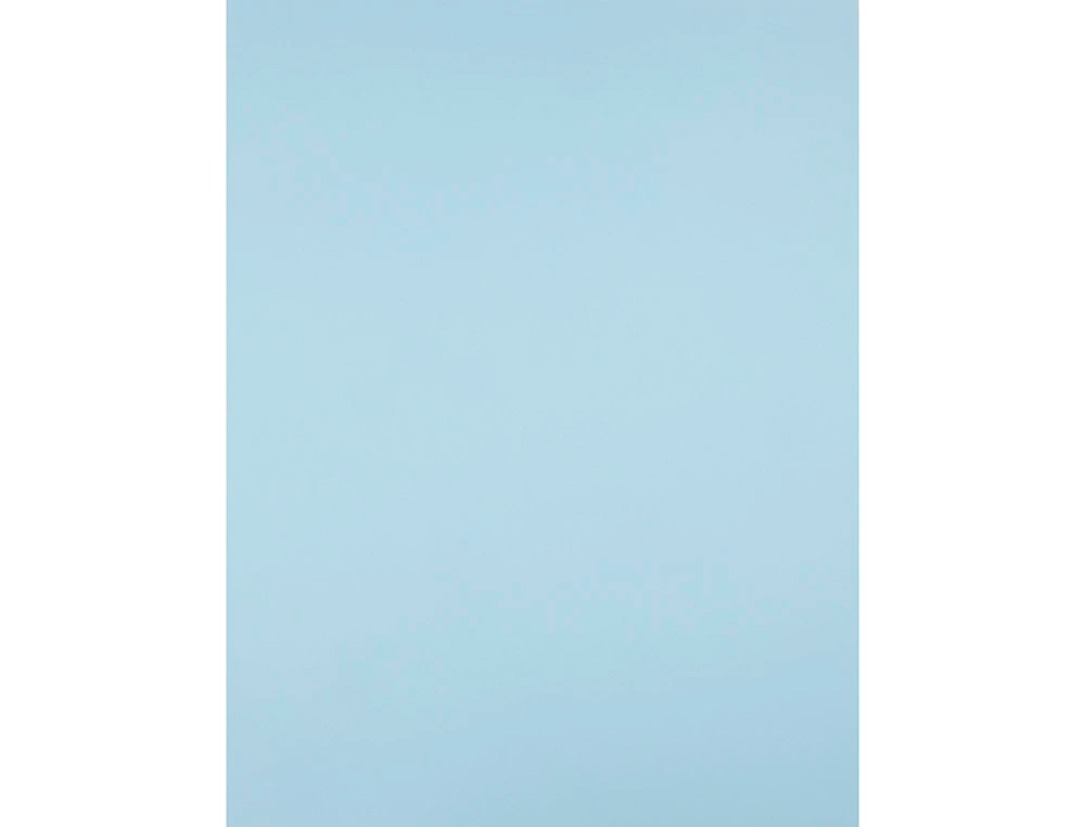 CARTULINA LIDERPAPEL 50X65 CM 240G/M2 AZUL