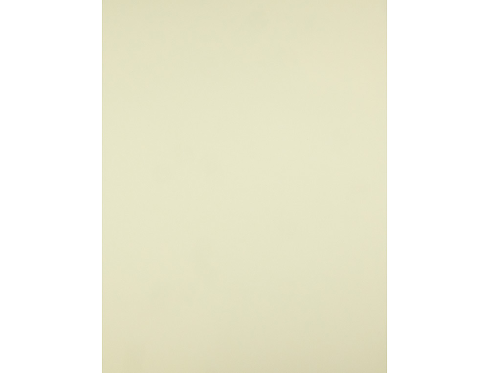 CARTULINA LIDERPAPEL 50X65 CM 180G/M2 AMARILLO PAQUETE DE 25 HOJAS