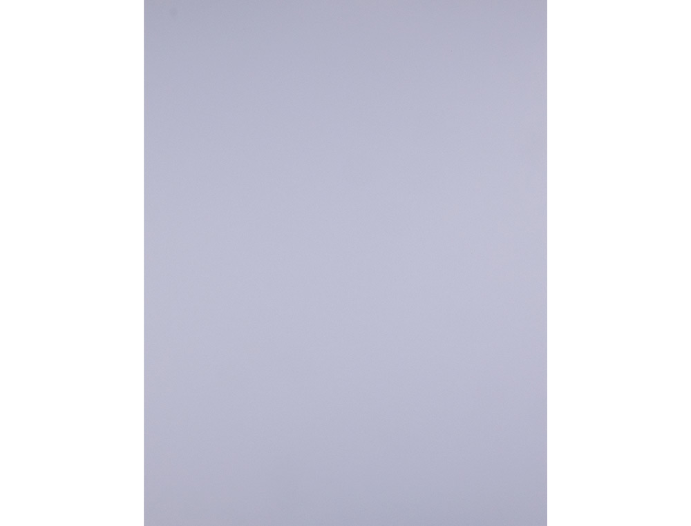 CARTULINA LIDERPAPEL 50X65 CM 180G/M2 LILA PAQUETE DE 25 HOJAS