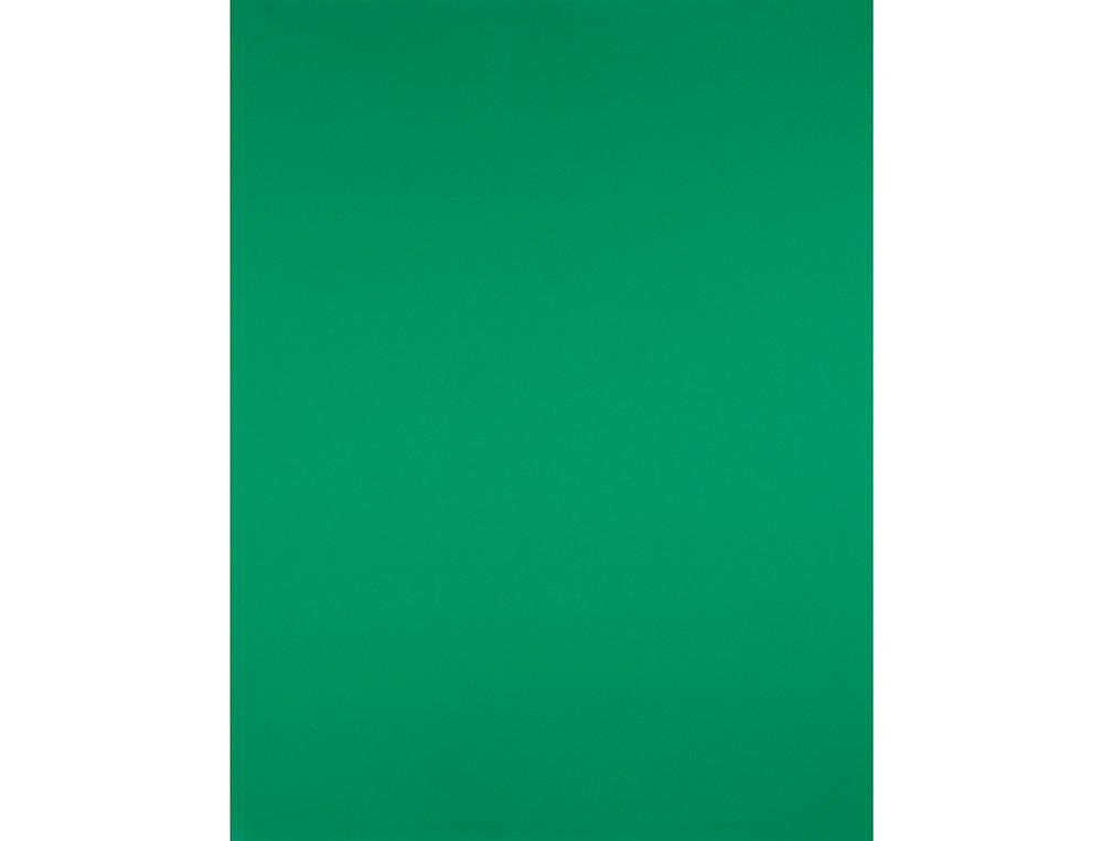 CARTULINA LIDERPAPEL 50X65 CM 180G/M2 VERDE NAVIDAD PAQUETE DE 25 HOJAS