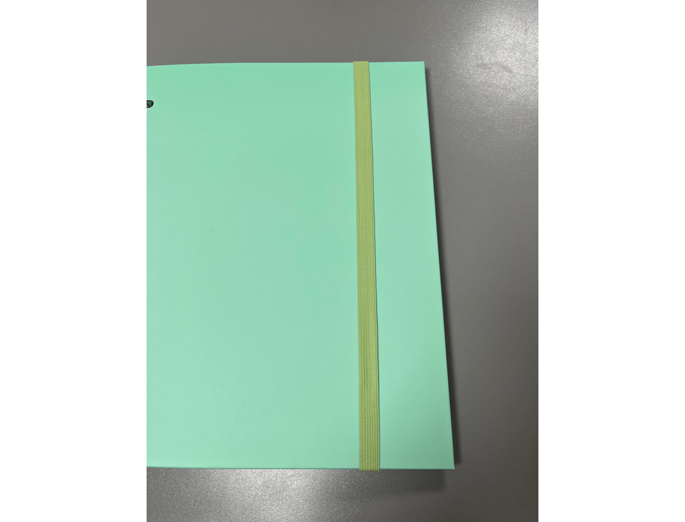 CARPETA 4 ANILLAS DE 35 MM PARDO CARTON FORRADO TOUCH DIN A4 CON RECAMBIO 120 HOJAS 90 GR VERDE PASTEL